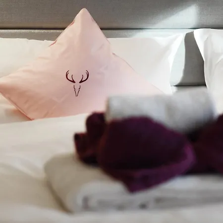 Hotel Zum Hirschen - & Beim Stoeckeler Scheidegg